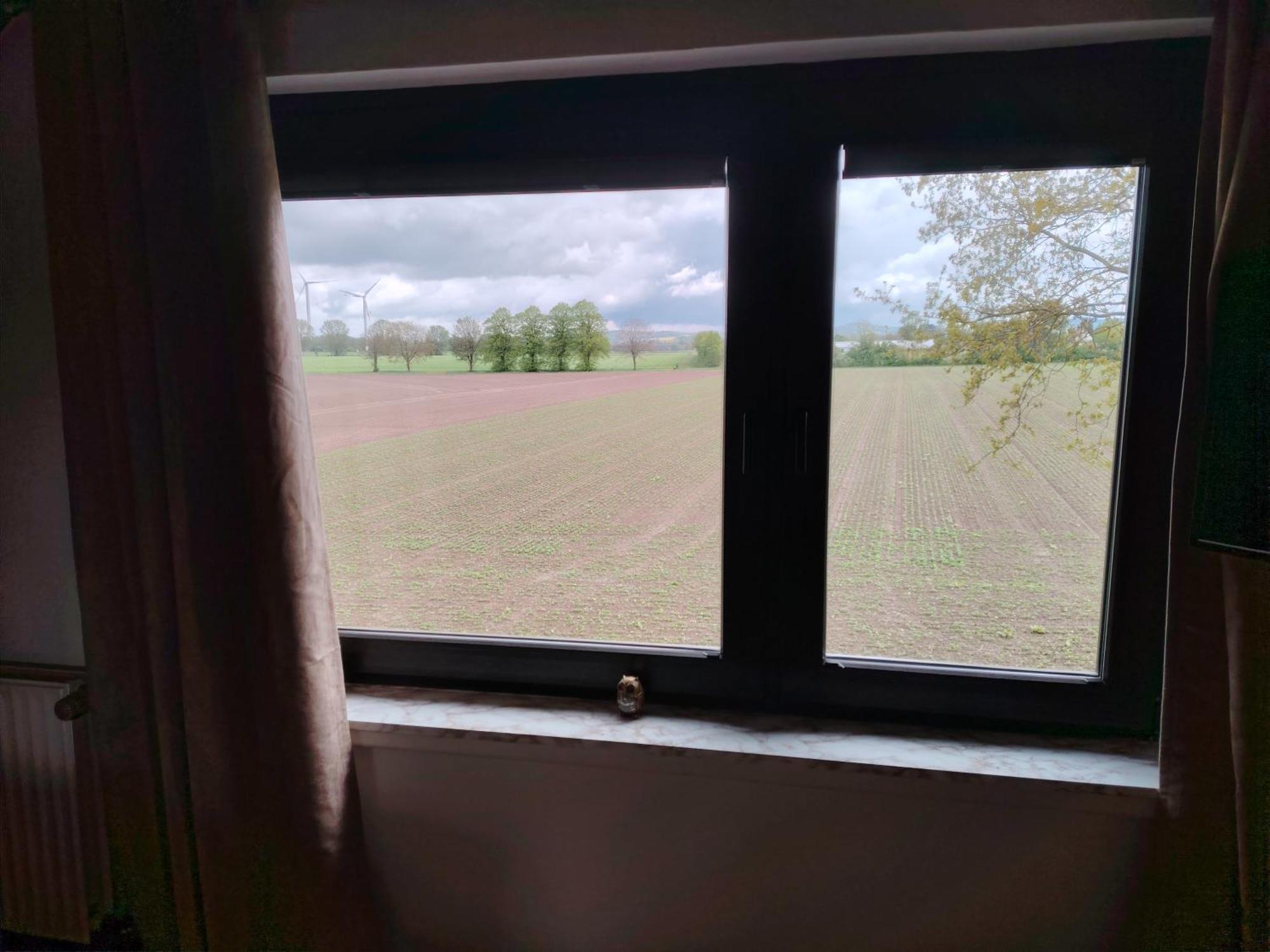 Brini'S Ferienwohnung Im Gruenen Lage  Kültér fotó